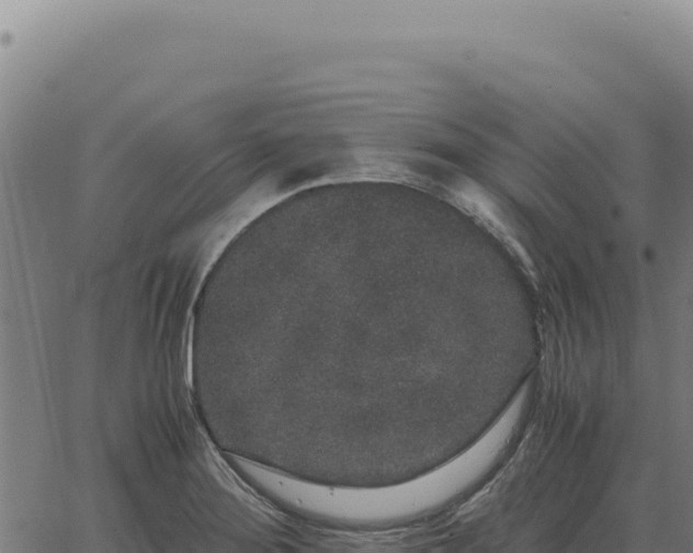 X0000063501276200601271736