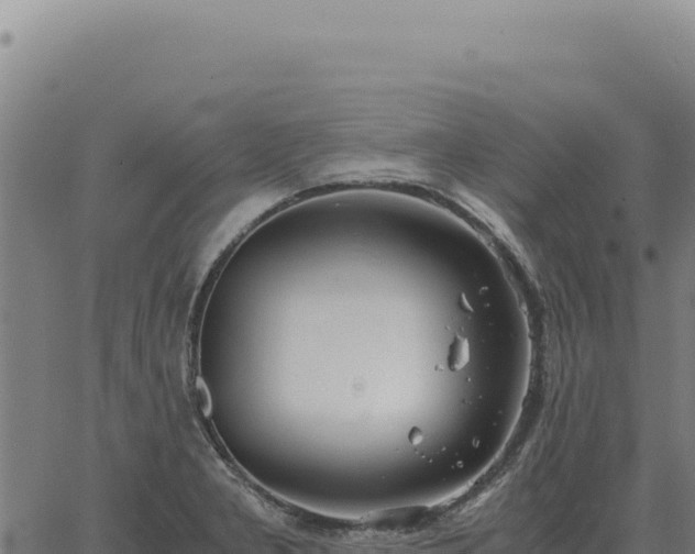 X0000063501277200601271736