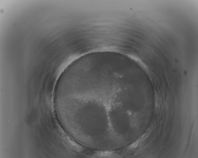 X0000063501278200601271736