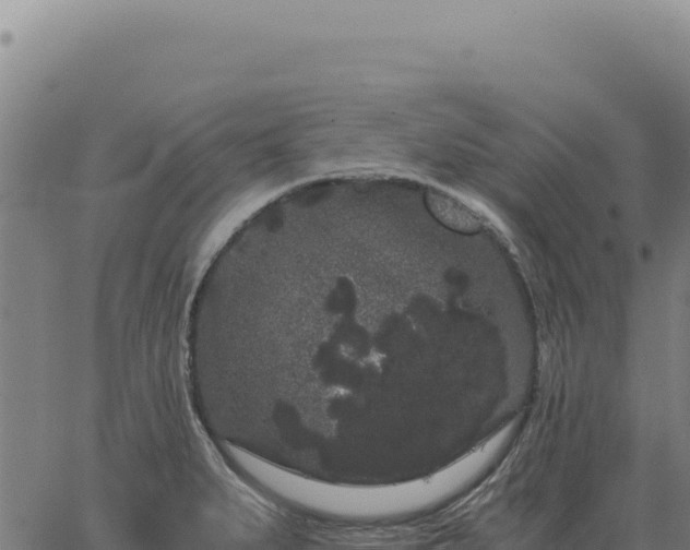 X0000063501279200601271736