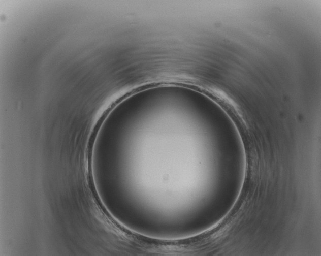 X0000063501280200601271736