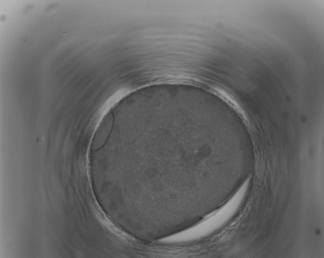 X0000063501283200601271736