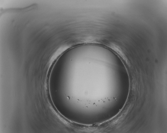 X0000063501285200601271736