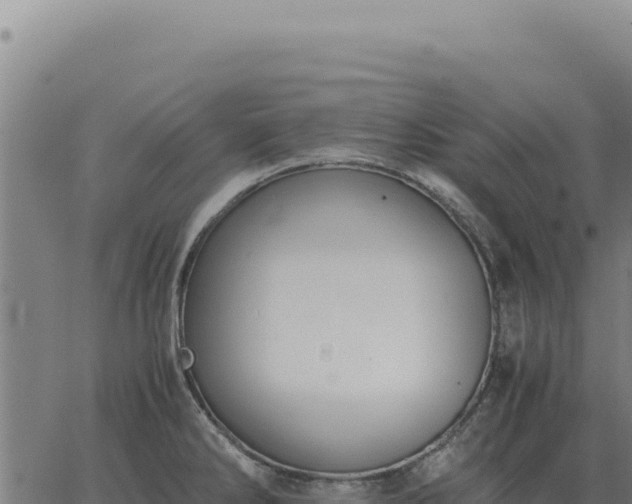 X0000063501286200601271736