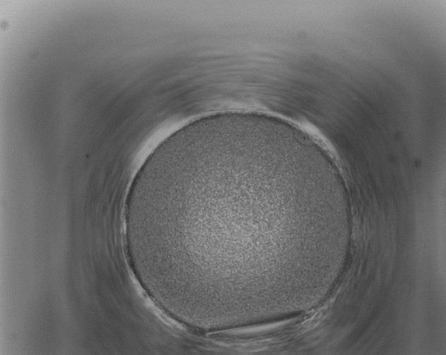 X0000063501287200601271736