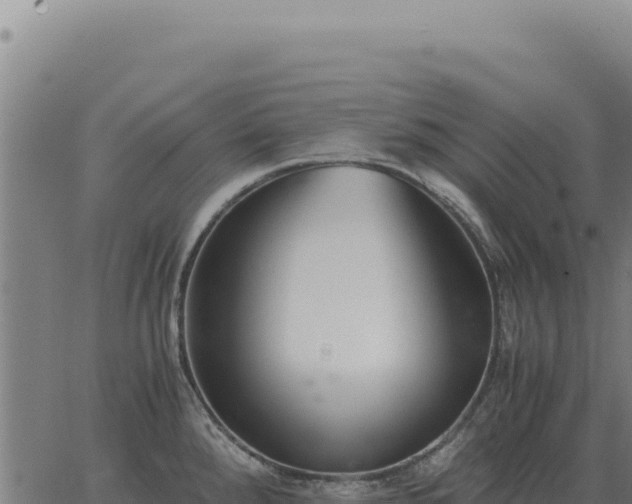 X0000063501288200601271736