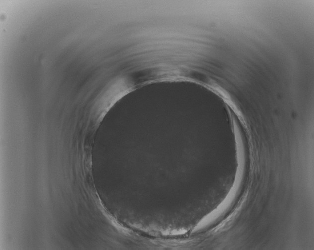 X0000063501289200601271736