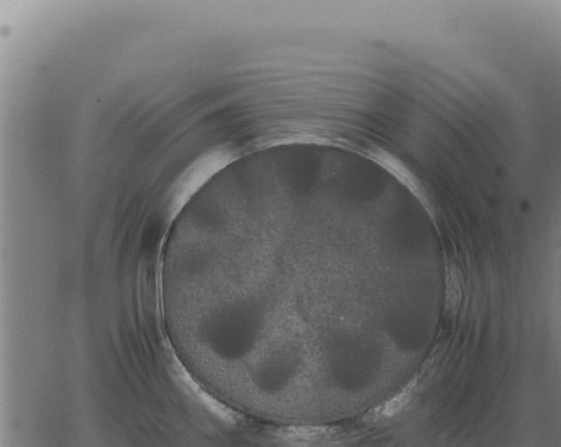 X0000063501290200601271736