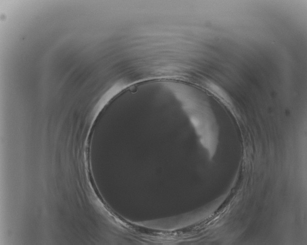 X0000063501291200601271736