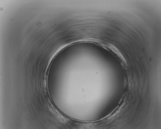 X0000063501292200601271735