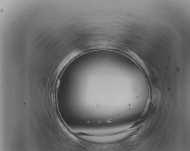 X0000063501293200601271735