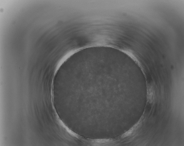 X0000063501294200601271735