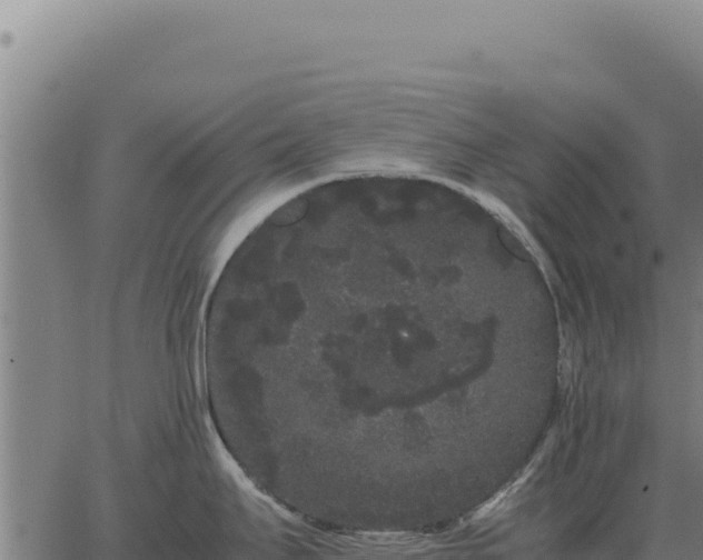 X0000063501295200601271735