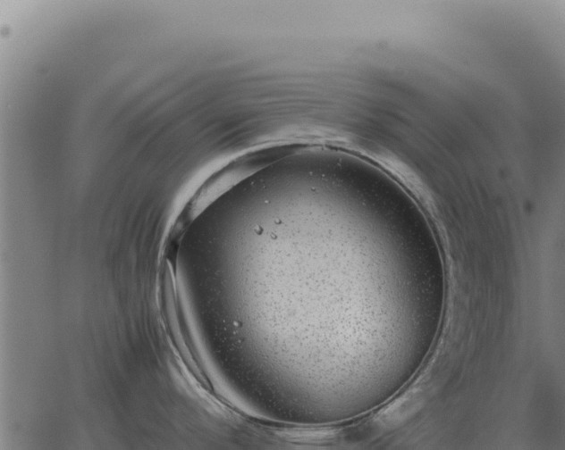 X0000063501296200601271735