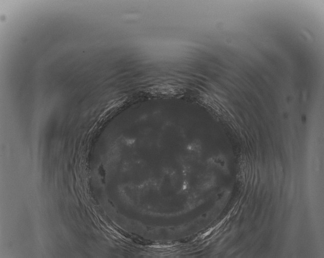 X0000063501297200601271735