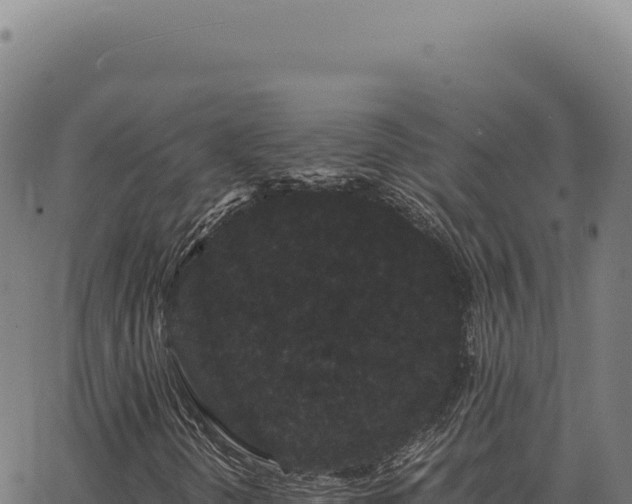 X0000063501298200601271735