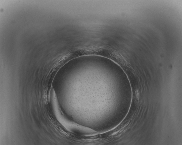 X0000063501300200601271735