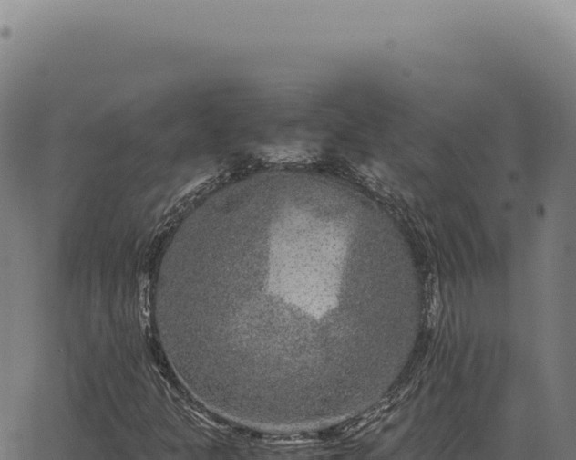 X0000063501301200601271735