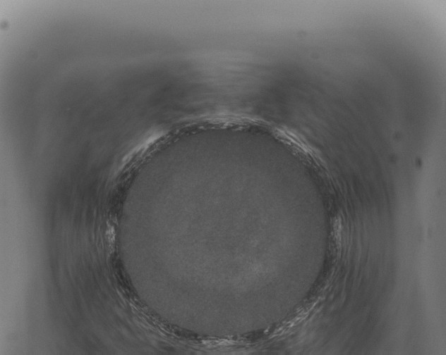 X0000063501302200601271735