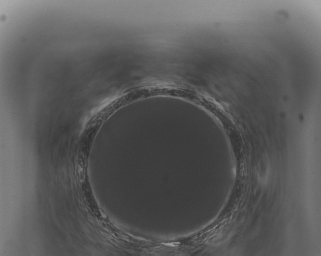 X0000063501303200601271735