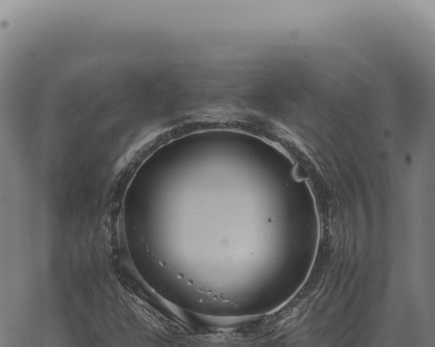 X0000063501304200601271735