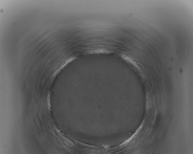 X0000063501305200601271735