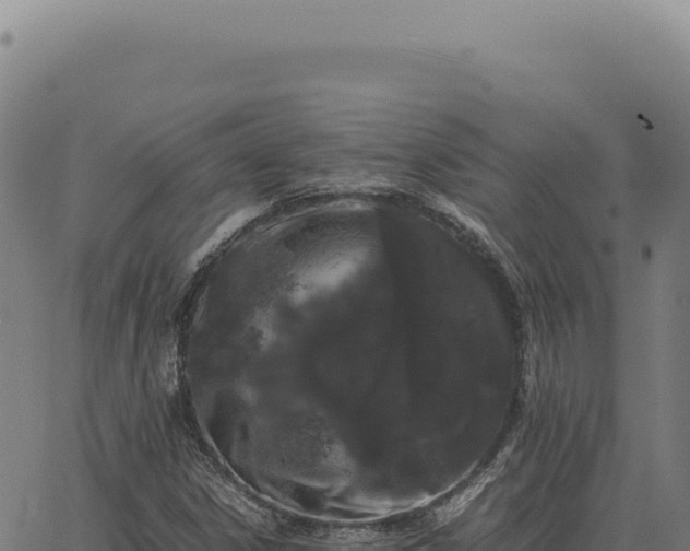 X0000063501306200601271735