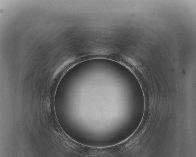 X0000063501307200601271735