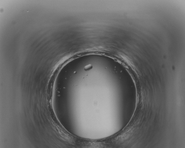 X0000063501308200601271735