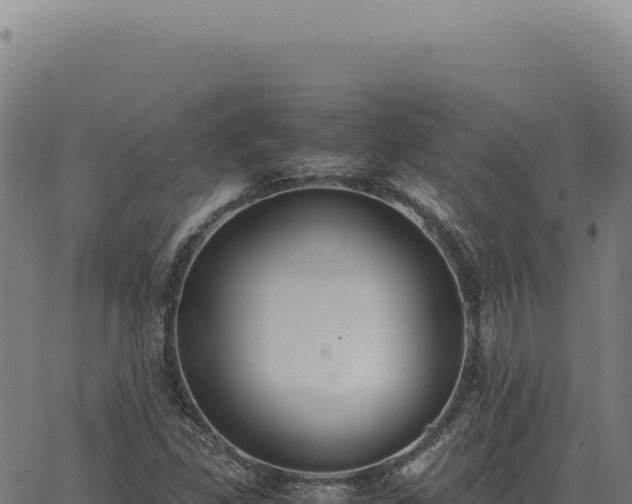 X0000063501309200601271735