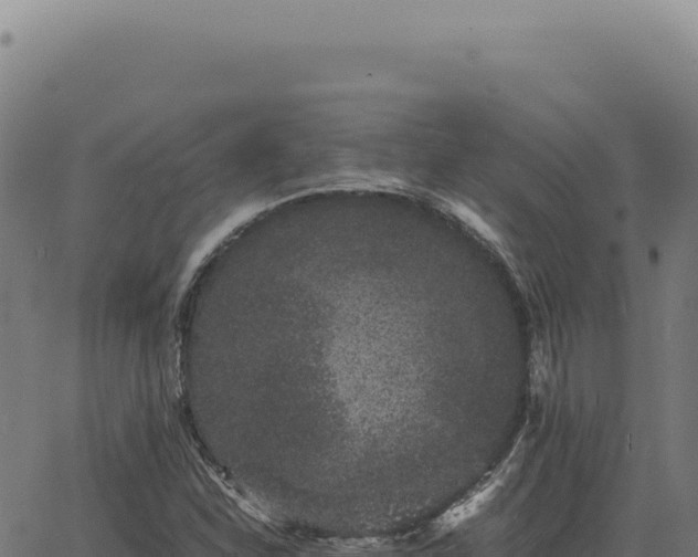 X0000063501310200601271735