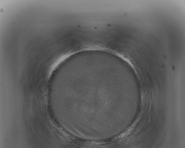 X0000063501311200601271735