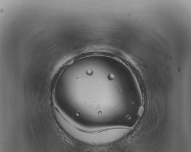 X0000063501312200601271735