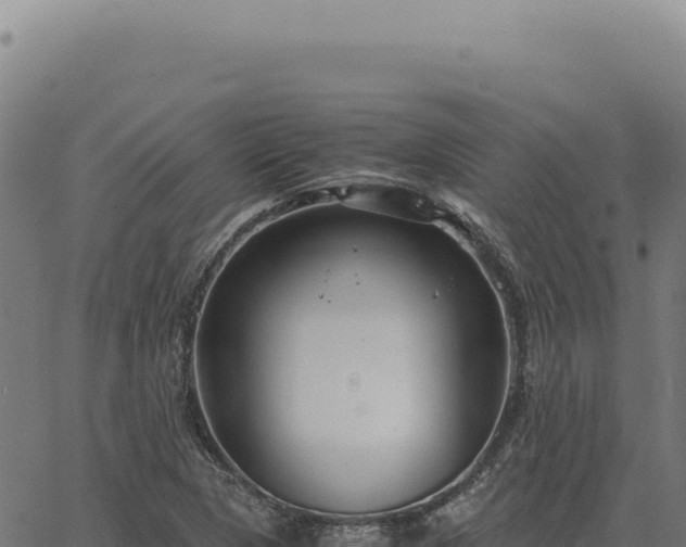 X0000063501313200601271735