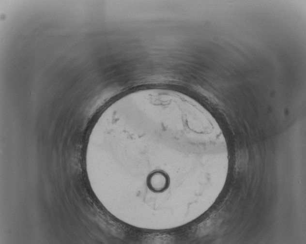 X0000063501314200601271735