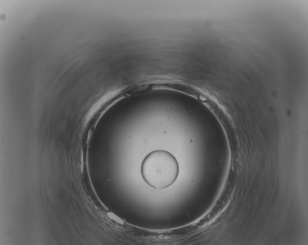 X0000063501317200601271735