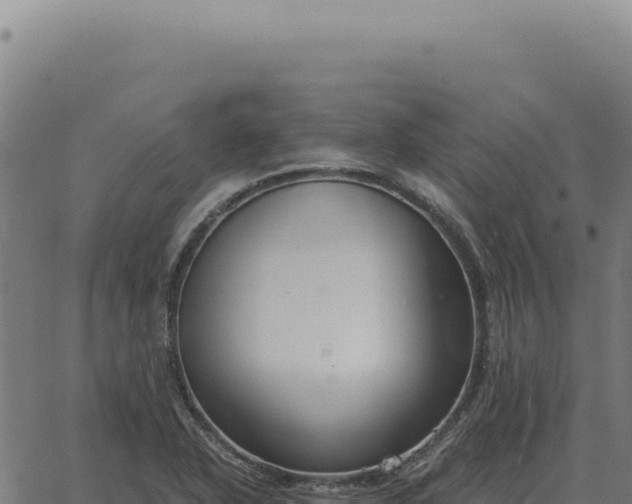 X0000063501318200601271735