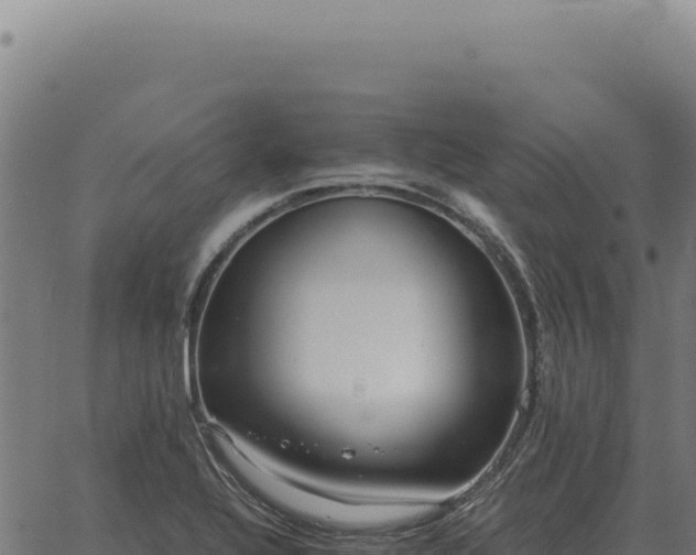 X0000063501320200601271735