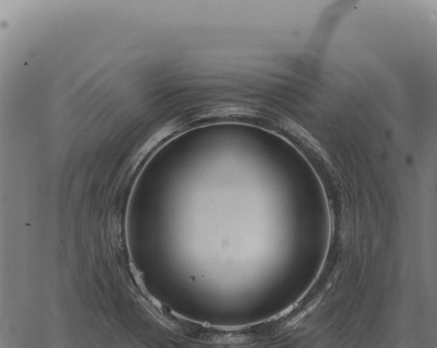 X0000063501321200601271735