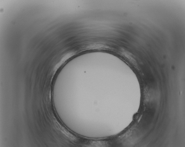 X0000063501322200601271735