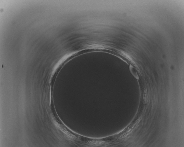 X0000063501323200601271735