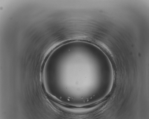 X0000063501324200601271735