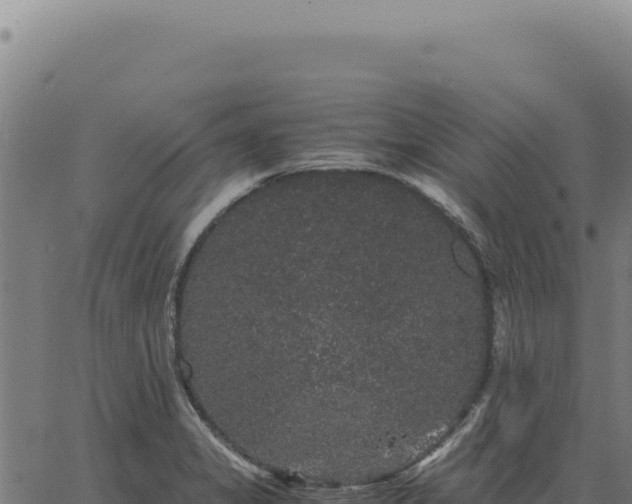 X0000063501325200601271735