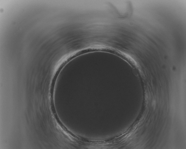 X0000063501327200601271735