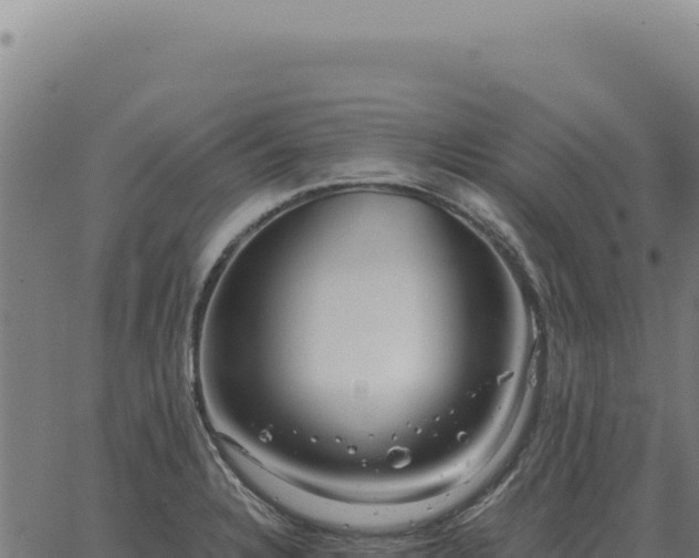 X0000063501328200601271735