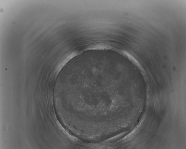 X0000063501329200601271735