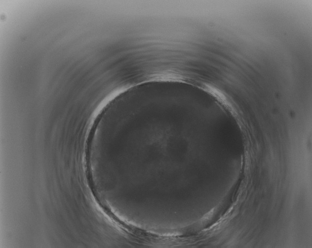 X0000063501331200601271735