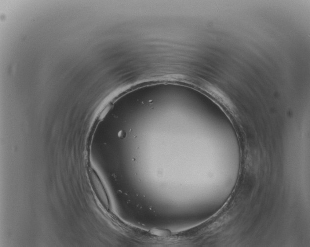 X0000063501332200601271735