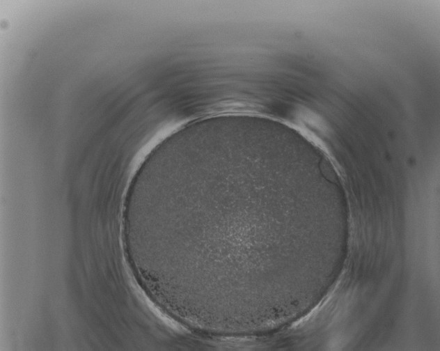 X0000063501333200601271735