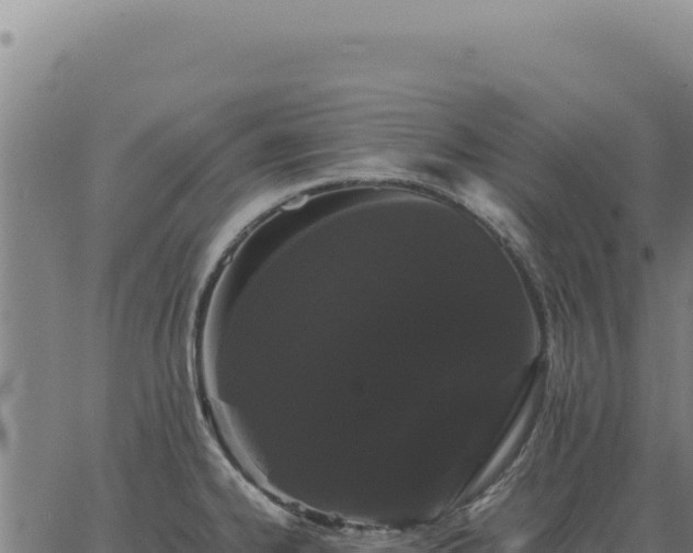 X0000063501334200601271735